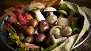 Sapori d’Autunno
